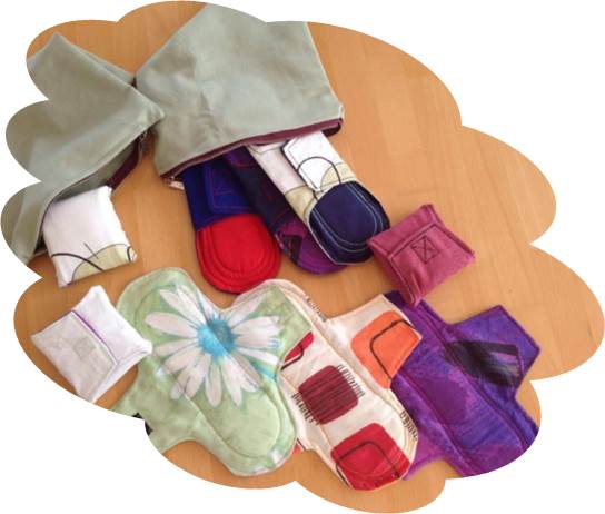 Cloud Rosa Reusable Sanitary Pads are an all-in-one solution